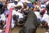 Doi oameni au fost răniţi în cursa cu tauri de la Pamplona. Vezi foto  101232