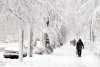 Peste 1.000 de maşini, blocate în zăpadă. Cod portocaliu de ninsoare şi viscol în Constanţa şi Tulcea 128038