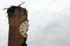 Un nou seism a avut loc în Italia. 12 morţi, bilanţul primului cutremur produs astăzi. Printre răniţi se află şi un român 148820