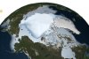 Se topeşte Polul Nord! Gheaţa arctică, înjumătăţită în ultimii 30 de ani 153003