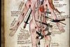 Are răni în toate părţile corpului. Imaginile din Evul Mediu care au călăuzit medicina de-a lungul secolelor 165938