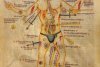 Are răni în toate părţile corpului. Imaginile din Evul Mediu care au călăuzit medicina de-a lungul secolelor 165939