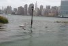FOTOREPORTAJ din mijlocul dezastrului. Mii de poze postate pe Twitter de americani: &quot;New York-ul e sub apă&quot; 175243