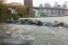 FOTOREPORTAJ din mijlocul dezastrului. Mii de poze postate pe Twitter de americani: &quot;New York-ul e sub apă&quot; 175252