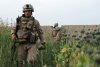 NATO a pierdut lupta cu producţia de droguri din Afganistan 180086