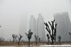 Beijingul, acoperit din nou de un smog toxic 190291