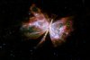 Spaţiul cosmic prinde viaţă. &quot;Fiinţele&quot; incredibile din imaginile NASA 198719