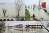 Cod portocaliu de inundaţii pe Dunăre şi în judeţul Satu Mare, pe râul Crasna, până marţi seară 202549