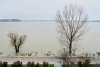 Cod portocaliu de inundaţii pe Dunăre şi în judeţul Satu Mare, pe râul Crasna, până marţi seară 202552
