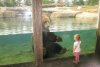 O imagine care îţi va da fiori. Întâlnirea impresionată dintre un copil şi un urs uriaş 203879