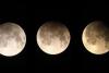 Un fenomen astronomic deosebit a avut loc noaptea trecută. Vezi imagini cu eclipsa parţială de lună 205485