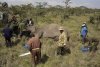IMAGINI ŞOCANTE! Când animalele se aşază în calea oamenilor. Cum sunt alungaţi elefanţii din Kenya 214762