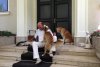 Băsescu a publicat fotografii cu câinii adoptaţi de el de pe stradă: &quot;Dacă îi iubeşti cu adevărat, îi iei acasă&quot; 223992