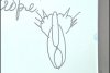 Ce a desenat Vladimir Putin cu degetul pe tablă, în faţa elevilor. Venise în inspecţie la ora de biologie 224034