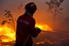 Peste 24 de ore de luptă cu focurile. Centrul Portugaliei, devastat de incendii. Galerie FOTO 273130