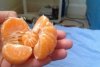 A decojit o portocală și a făcut o descoperire uluitoare. Imaginea a devenit virală pe internet 371702