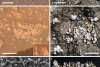 S-a descoperit dovada vieții pe Marte? Cercetătorii au văzut detalii incredibile în aceste imagini  418930