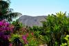 Explorează cele mai populare parcuri din Tenerife 445670