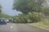 Furtuna a făcut ravagii în Arad. 10 muncitori răniţi, maşini răsturnate şi copaci căzuţi pe carosabil - VIDEO 459274
