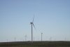 Greenpeace România și RWEA, în vizită la parcul eolian din Făcăeni 479266