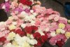 Povestea elevului care a oferit aproape o mie de flori altor fete, deși avea o prietenă. Motivul este înduioșător 512583