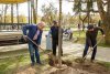 Emil Boc a fost surprins lucrând cu muncitorii din oraș. Primarul Clujului a plantat copaci într-un parc 519647
