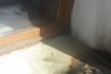 Sediul PSD din Satu Mare a fost atacat cu sticle incendiare 535180