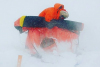 Un tânăr american a traversat de unul singur Antarctica. Toţi cei care au încercat până acum au murit 569295
