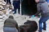 A fost pericol uriaş pentru turiştii din Buşteni. Un urs a fost capturat chiar în centrul stațiunii montane 583637