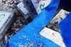 Pachete cu cocaină aduse la mal pe plajele din Năvodari și Vadu 586948