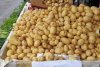Primii cartofi românești au ajuns în piețe. E incredibil cât a ajuns să coste un kilogram - FOTO 588315
