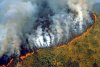Tragedia incendiului din Pădurea Amazoniană, cel mai mare ecosistem din lume. De ce afectează acest incident întreaga planetă  611113
