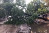 Furtuna a făcut dezastru în Capitală. Copaci rupți în zona Kiseleff, străzi inundate în Colentina, avion lovit pe aeroport 611476