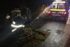 Carnagiu pe o șosea din Ialomița. Zece persoane au murit și alte șapte sunt grav rănite după ce un TIR a lovit un microbuz. Detalii șocante 618153