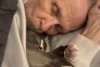 Pisica își petrecea toată ziua în preajma bătrânului suferind de Alzheimer, iar sacrificiul ei a impresionat o lume întreagă (FOTO) 645029