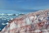 Zăpada roșie în Antarctica. Fenomenul uluitor i-a luat pe toți prin surprindere 647008