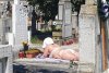 Imagini halucinante într-un cimitir din Alba Iulia. Femeie în costum de baie surprinsă făcând plajă pe piatra unui mormânt - FOTO 675015