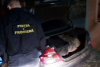 Urmărire ca-n filme! Un șofer a avariat mașina Poliției pentru a-şi salva cele 250 kg de pietre semiprețioase din portbagaj 681914