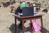 O fetiță de 10 ani face școală online pe vârf de munte, între animale  699928