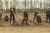 Iohannis, la campania de împădurire din Dolj: Vom aloca 1,5 miliarde de euro pentru reîmpăduriri 700243