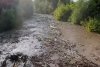 O viitură de numai un minut a umplut un râu din Apuseni cu tone de gunoaie 713195