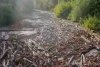 O viitură de numai un minut a umplut un râu din Apuseni cu tone de gunoaie 713196