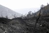 Au fost identificați cei patru morți în uriașul incendiu de vegetație din Cipru. Focul ar fi fost provocat 714873