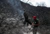 Au fost identificați cei patru morți în uriașul incendiu de vegetație din Cipru. Focul ar fi fost provocat 714874