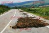 Tone de găinaț pe cel mai important drum european din Moldova. Şoferii nu au putut evita „norocul” ce le-a ieşit în cale 716524
