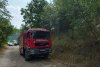 Arde pădurea de pin din Parcul Naţional Porţile de Fier! Pompierii sting flăcările cu lopata, nu se poate interveni cu apă în acea zonă 717139