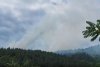 Arde pădurea de pin din Parcul Naţional Porţile de Fier! Pompierii sting flăcările cu lopata, nu se poate interveni cu apă în acea zonă 717140