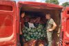 Fermierii din Olt au strâns tone de legume și au plecat spre Alba, cu ajutoare pentru sinistrați: „Dacă nu ne ajutăm noi...“ 718040