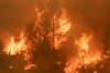 Incendiie de vegetație au ajuns la scară planetară. Fumul se întinde din SUA până în Siberia 718141