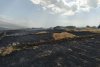 Incendiu devastator la Bunești. Peste 35 de hectare de grâu și miriște au fost mistuite de foc 719832